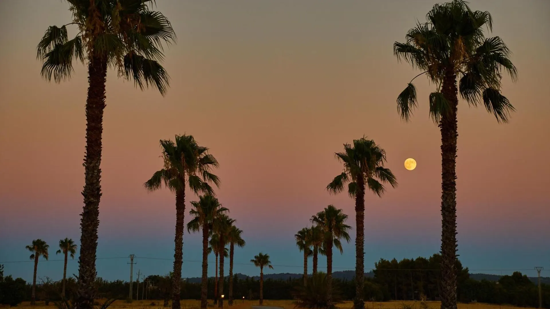 Virrey Finca Hotel Farm stay